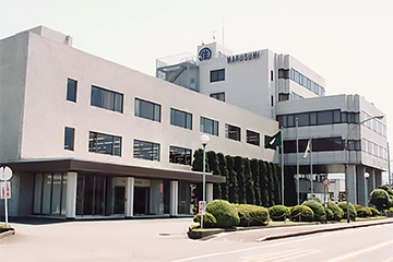 Head Office