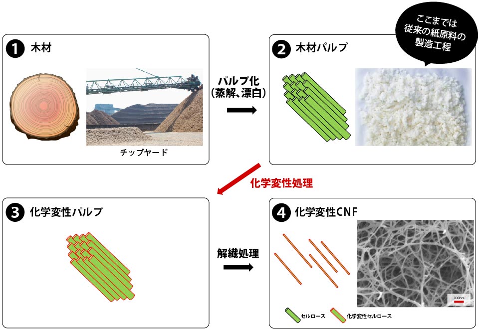 セルロースナノファイバー 紙 新素材 丸住製紙株式会社